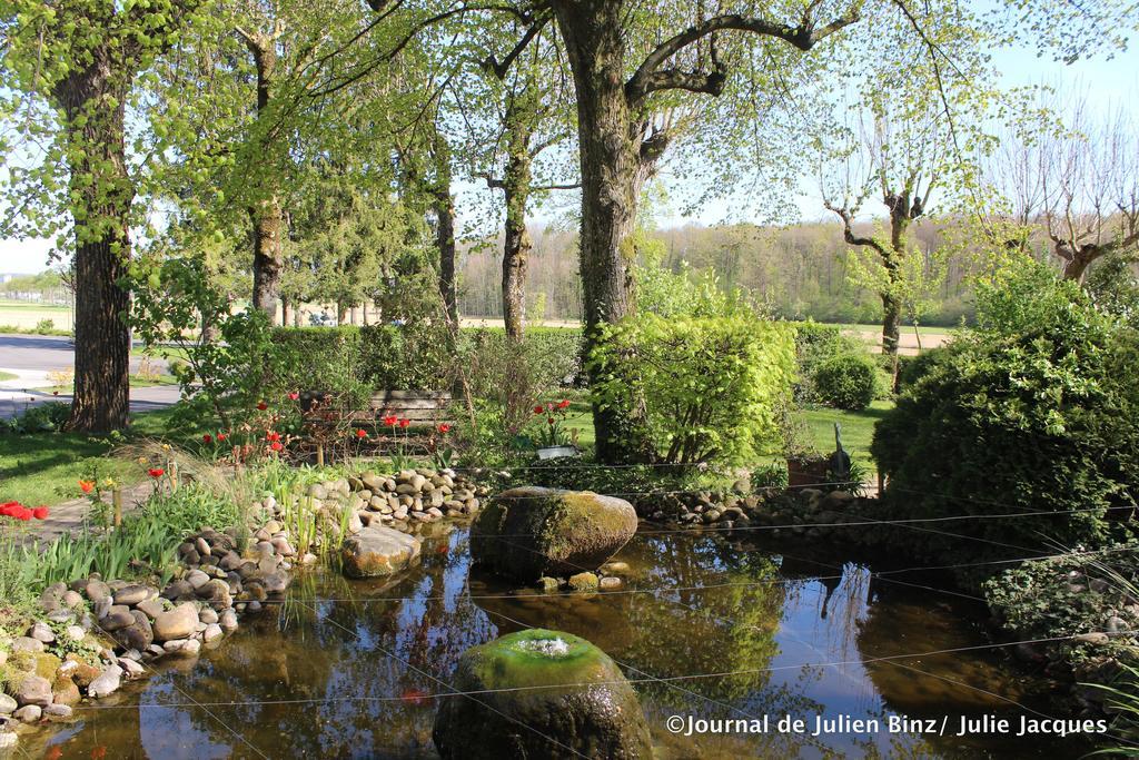 Auberge Sundgovienne Carspach Zewnętrze zdjęcie